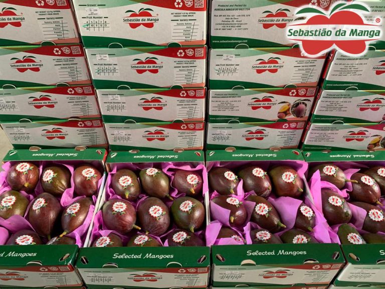 b7aa87a1-b7bf-4745-be58-87c1169d828a-1-768x576