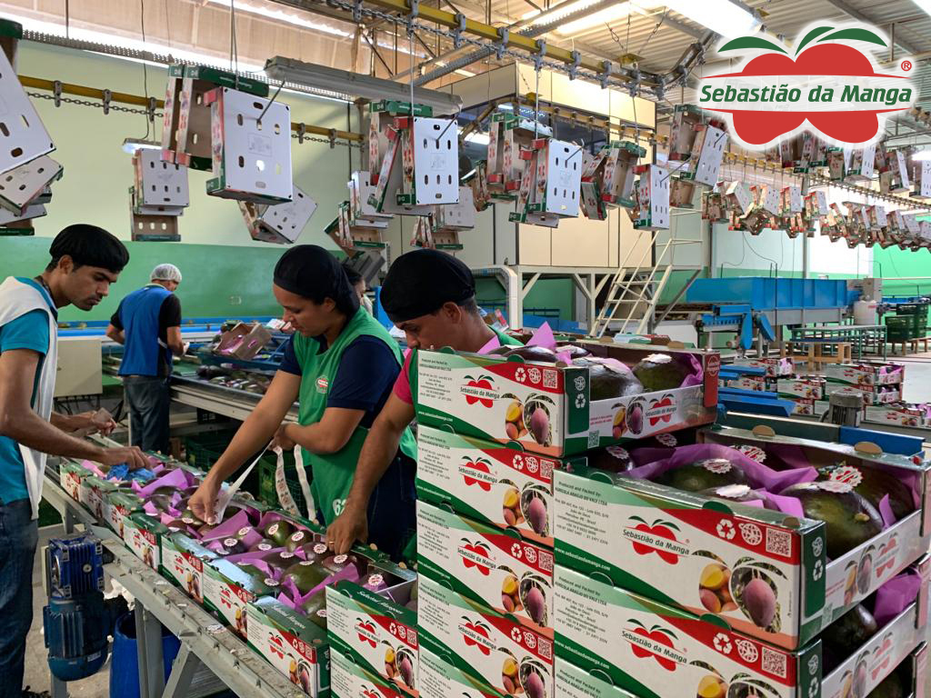 cf9b4c55-ed2c-406b-a7eb-aa5bece64cfd