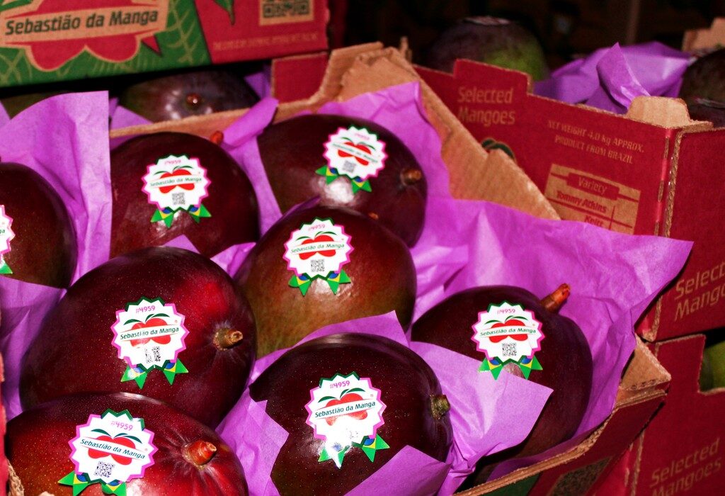 IMG_0624_Easy-Resize.com_