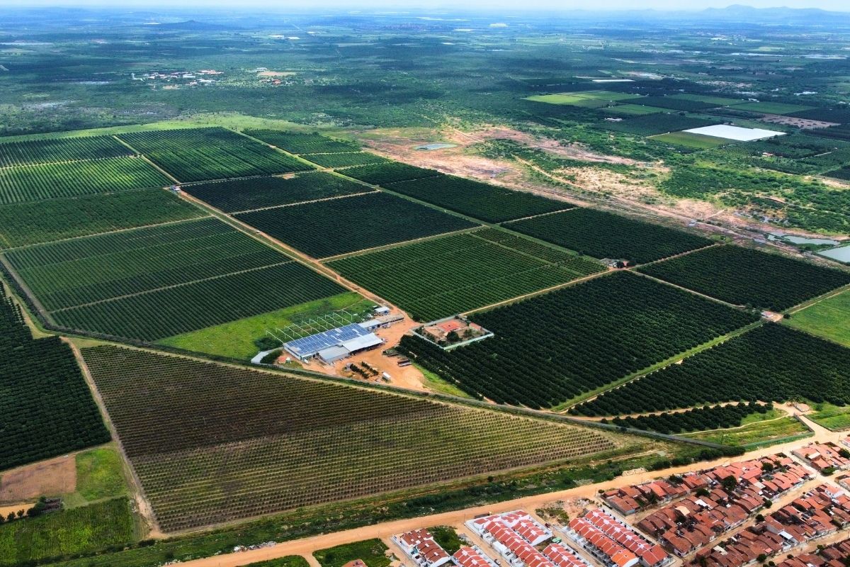 Foto aérea - 1