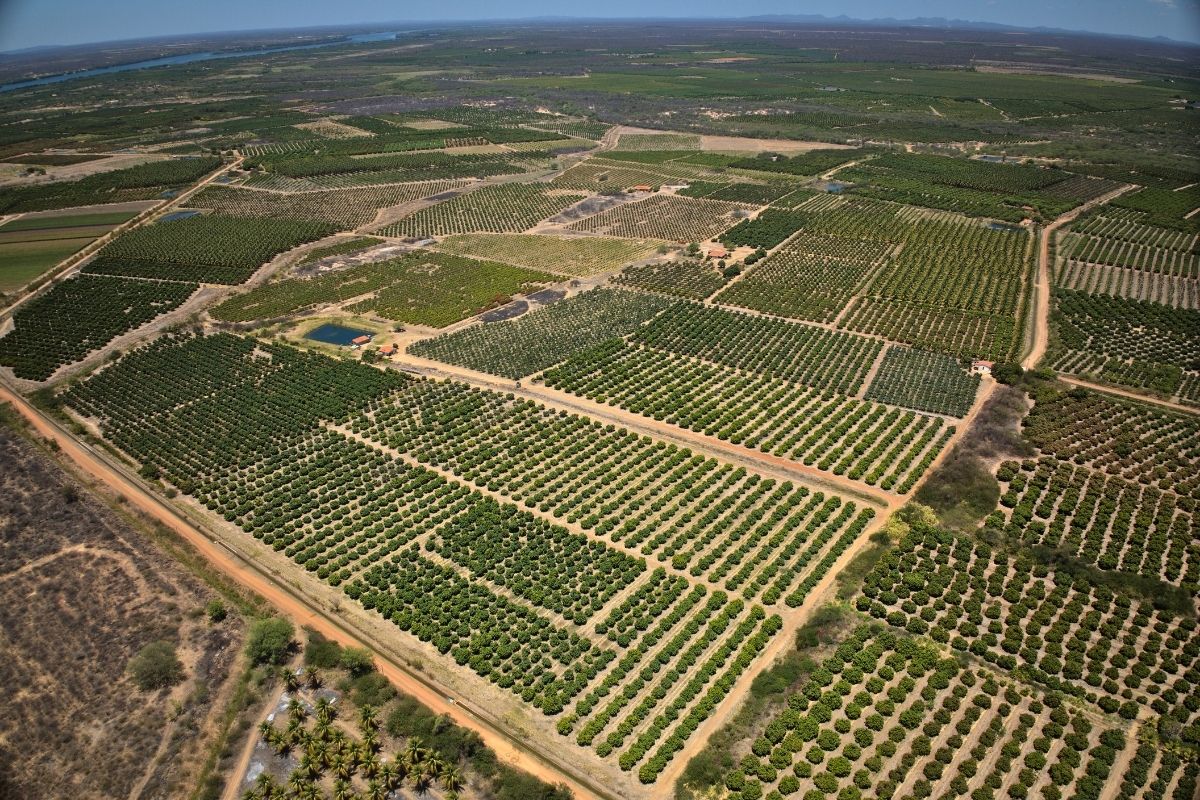 Foto aérea - 5